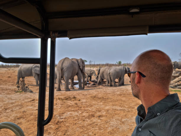 Great Migration Safari