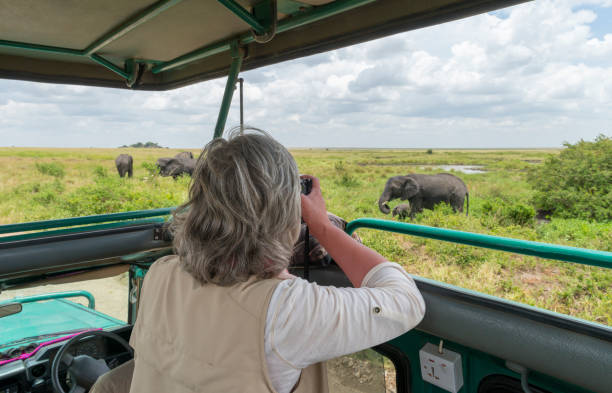 Photography Safari
